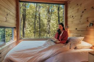 Postcard Cabins Western Catskills, Outdoor Collection by Marriott Bonvoy - 7