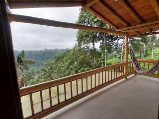 Beautiful house surrounded by nature to relax - 1