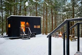 Postcard Cabins The Thumb, Outdoor Collection by Marriott Bonvoy - 1