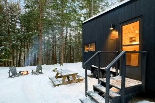 Postcard Cabins The Thumb, Outdoor Collection by Marriott Bonvoy - 3