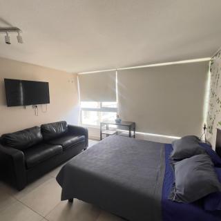 Apartaments studio RD - 6