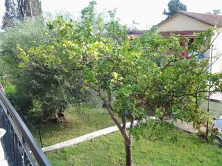 Passas Mare Apartments & Studios - Benitses - 9