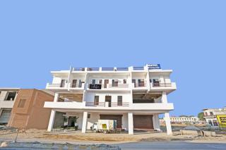 Collection O The Royal Fern - 9