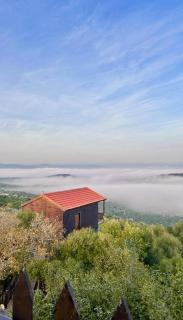 اكواخ سفاري السياحية - 8