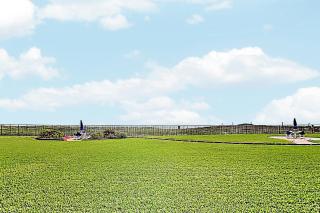 Beachside 2BR with Pool, Gulf Views and Patio - 9