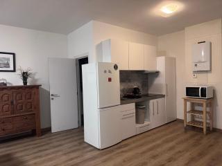 Сarnot Apartments ZOO Area - Antuérpia - 8