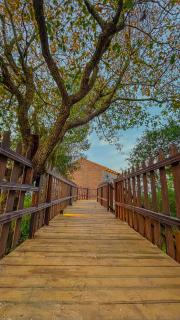 اكواخ سفاري السياحية - 7