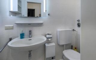 Robbenplate, App 1 - 4