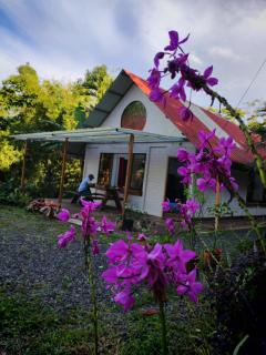 Mystic Solarium Private Indoor Pool - 6