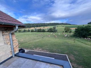 Parenthèse nature et sérénité - 4