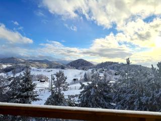 Boutique Hotel Pui de Urs Fundata - 2