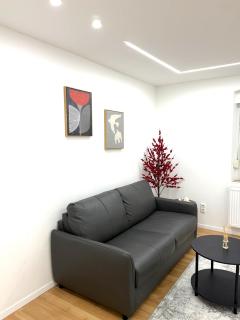 Moderne, neu möblierte Wohnung in zentraler Lage - 0