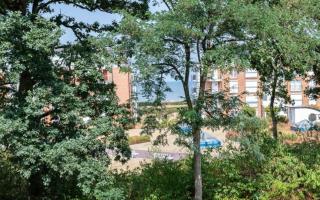 Admiralsgarten, Steuerbord 12 - 1