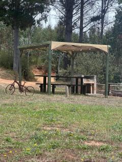 CIRyT La Montaña - 1