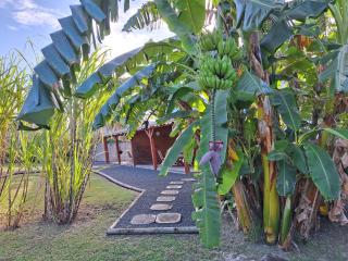 Les Gîtes du Bonheur/Kite Surf - 9