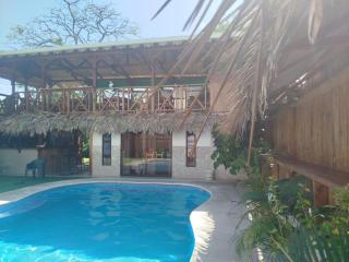 Liahs tortuguero - 4