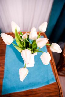 Gardos - Belgrad - 1