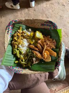 Golden Eco Ayur Villa - 9