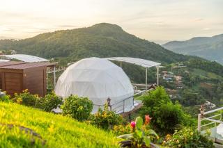 MonLanna Homesty - 2