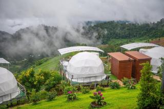 MonLanna Homesty - 1