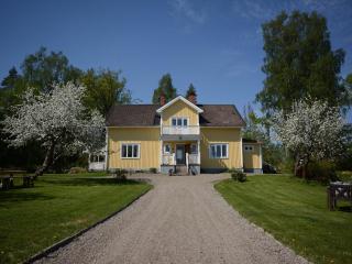 Real Swedish country house is ideal for large families - 1