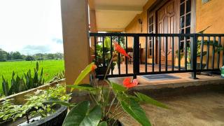 Paddy Wind Eco Lodge Sigiriya - 0