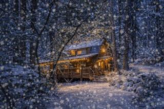 Guten Cabin by NW Comfy Cabins - 0