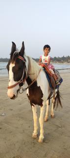 Malvan Beach Homestay - 9