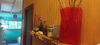 Departamento interior en playa de Mehuin - 8