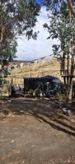 Ecoglamping Nahuelbuta - 7