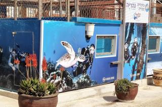 Close to the sea and city center - 8