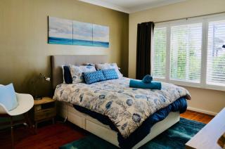 Nautilus at Hyams Beach - 1