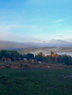 Mathian Farm lifestyle - 5