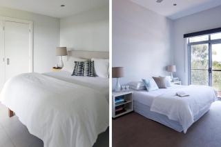 Grey Gums on Jervis Vincentia - 4