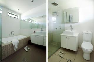 Grey Gums on Jervis Vincentia - 3