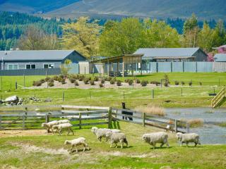 Queenie's Lakeview Star - 9