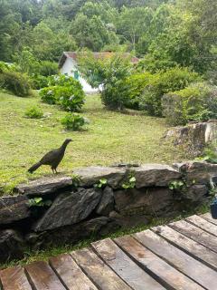 Cabana Austríaca no Vale Encantado - 6