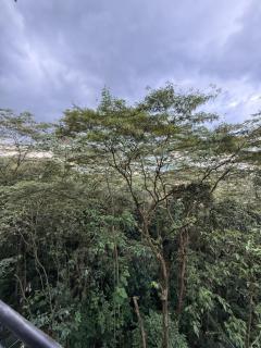 Apto Moderno con Vista a la Reserva - 9