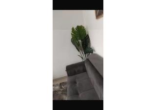 Mini studio avec balcon liberte 6 - Dakar - 4