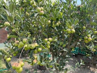 Hermosa Casa de Campo en Azpitia - 8