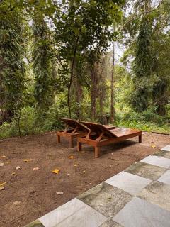 Lakehouse in the Old Rainforest - 9