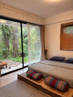 Lakehouse in the Old Rainforest - 7