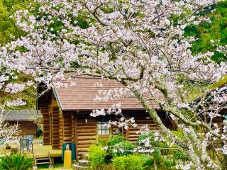 Pension Shishikui - 9