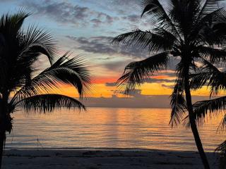 WalkToBeach-KingBr,Balcony,Kitchen,Grill,Pool,Cabana,FoodSt - 2