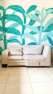 Color hada house - 8