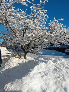 Fewo NATURgeTREU - 6