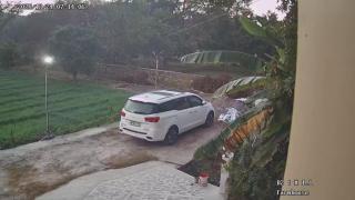 The Jungle Gate Villa - 6