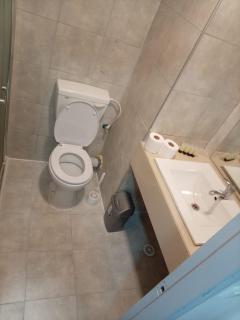 אלמוגי אוראל - 7