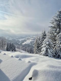 Veya Cabins Apuseni - 6