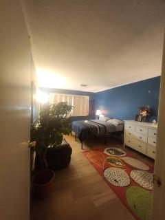 House near University of Waterloo, Perimeter Institute, Wilfred Laurier University - 4